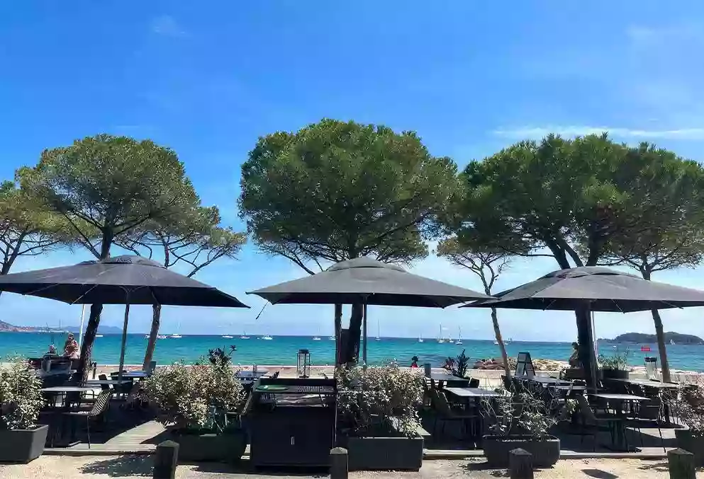 Les Copains D'Abord - Restaurant La Ciotat - restaurant Méditérranéen CEYRESTE